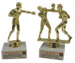 Призы и медали для ежегодного открытого турнира по боксу в городе Ессентуки