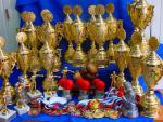 Награды для соревнований СКФО по боксу - Федерация бокса