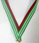 Лента для медалей ПОЛОСАТЫЙ РЕЙС, с кольцом и карабином, размер 20х800 мм