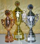 Награды для соревнований по тхэквондо