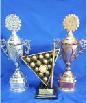 Награды ежегодного турнира по бильярду в Черкесске