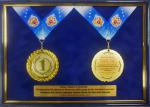 Панно с медалью Международного турнира по боевому самбо, Тихвин (Фонд "Памяти 6-ой роты")