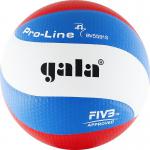 Gala Pro-Line 10 FIVB