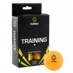TORRES Training 1*