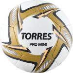 TORRES Pro Mini