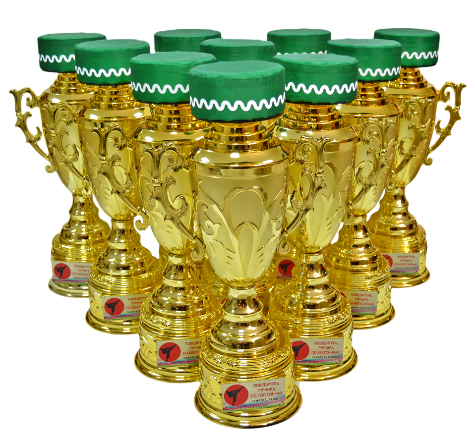 Кубок золотая россия